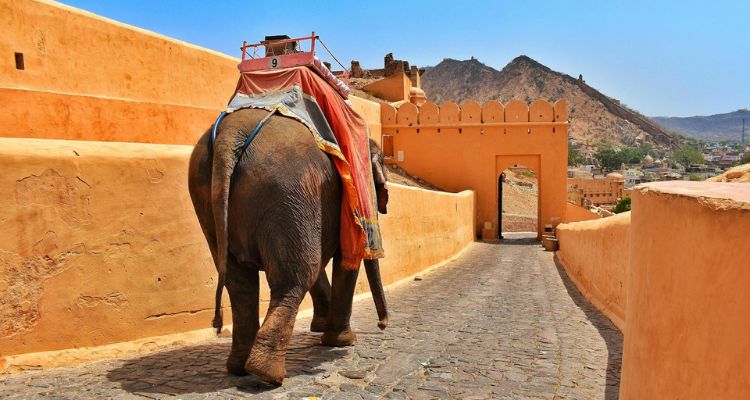 Elephant ride to Amber fort in Rajasthan