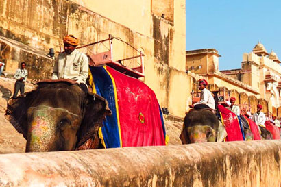 Same Day Jaipur Tour