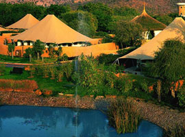 India Heritage Wildlife Tour