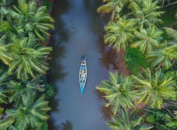 River with a boat surrounded by lush green palm trees.
